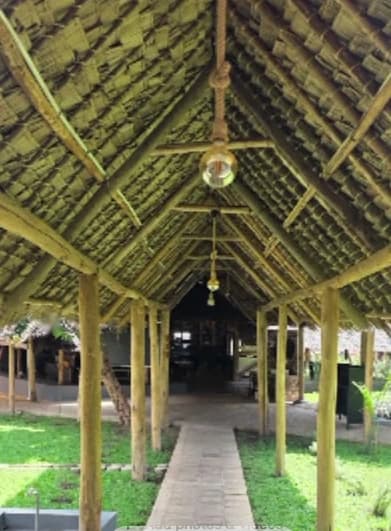 A long thatched corridor on timber posts with a stone path through the grass